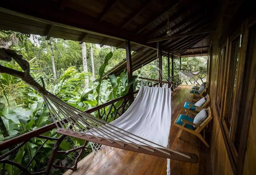 ホテル The River House   Upscale Lodge