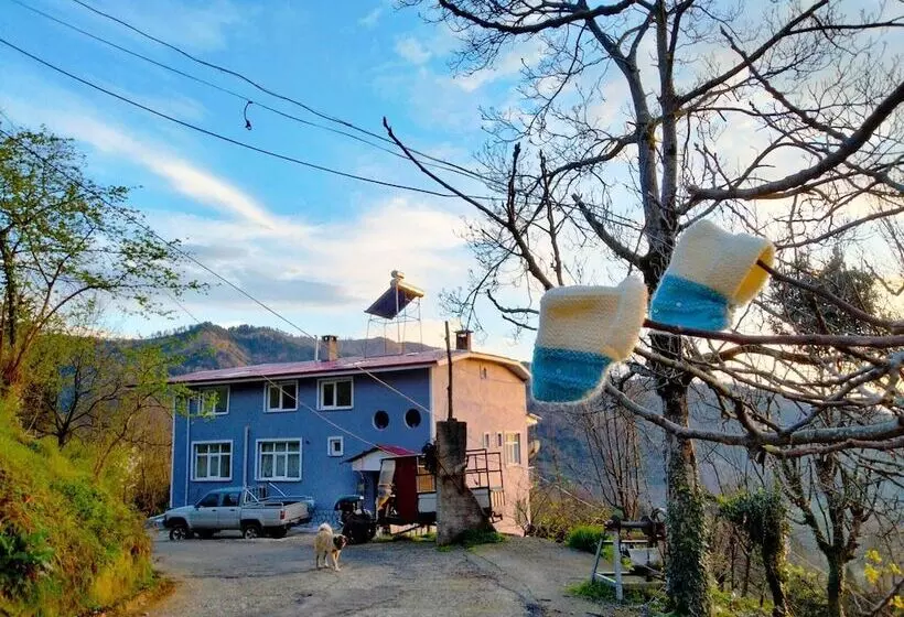 Patik Pansiyon