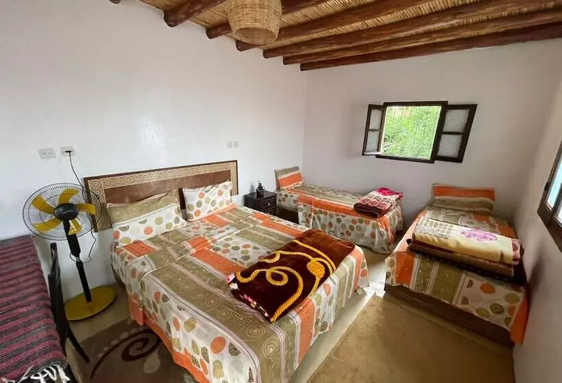 Aamiaismajoitus (B&B) Dar Lala Zhour