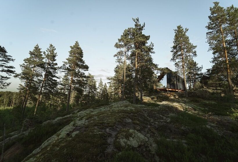 Hotel Hilltop Forest