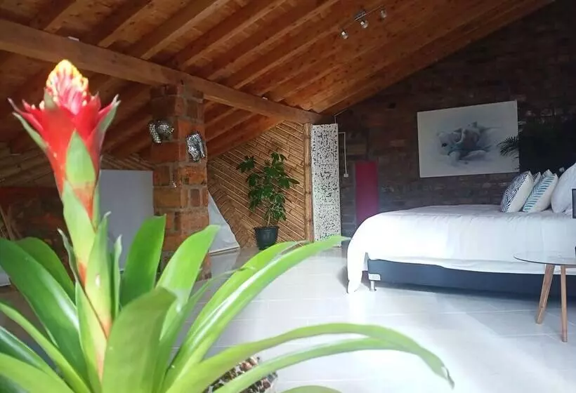 Hotelli Pia Colombia