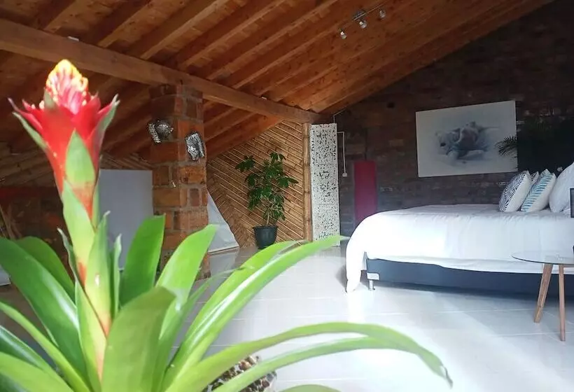 Hotelli Pia Colombia