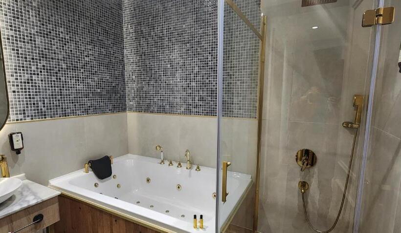 هتل Taksim Bosphorus