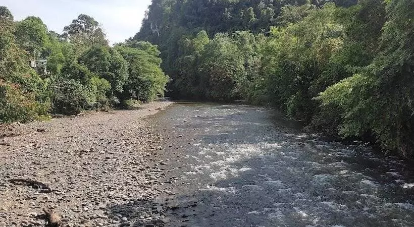 Majatalo Batu Katak Gibbon Guesthouse