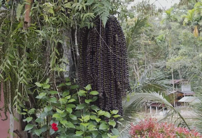 Majatalo Batu Katak Gibbon Guesthouse