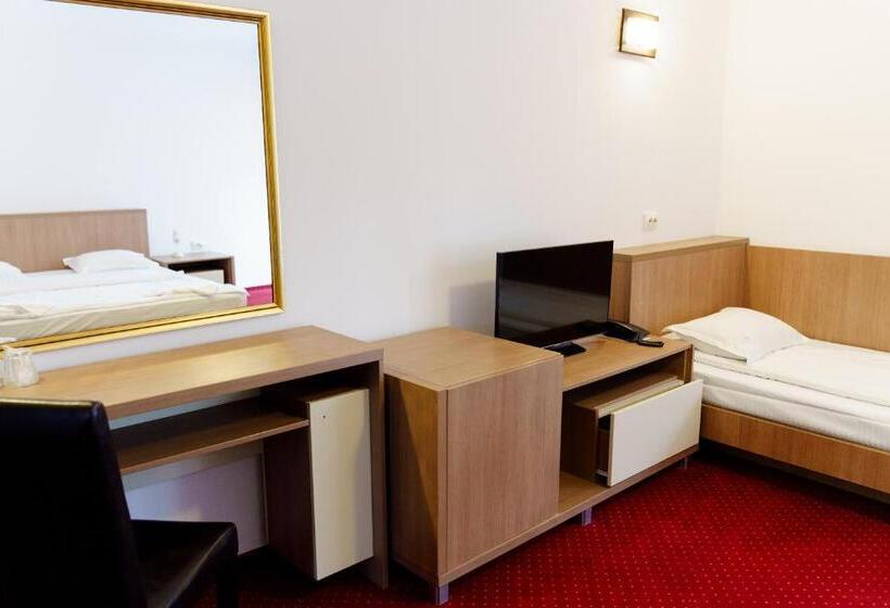 בית מלון כפרי Complex Turistic Max International