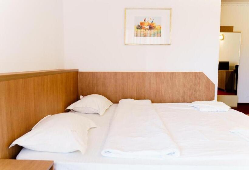 בית מלון כפרי Complex Turistic Max International