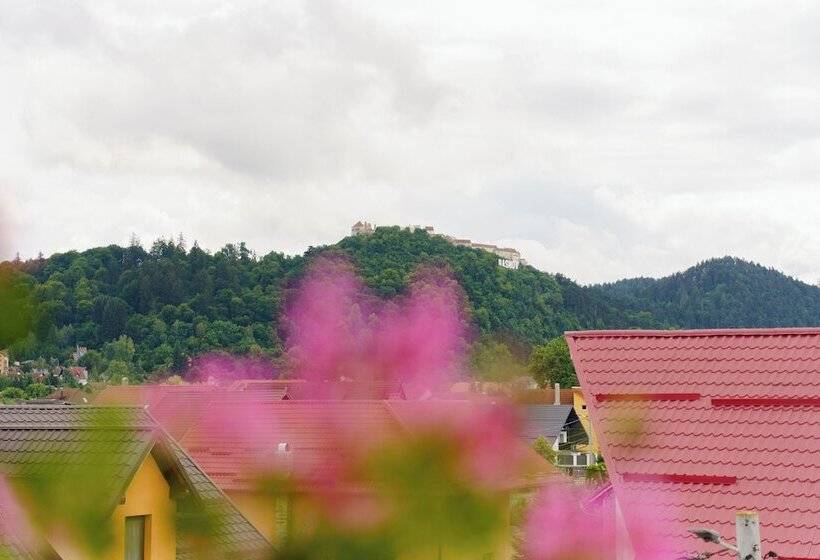 בית מלון כפרי Complex Turistic Max International