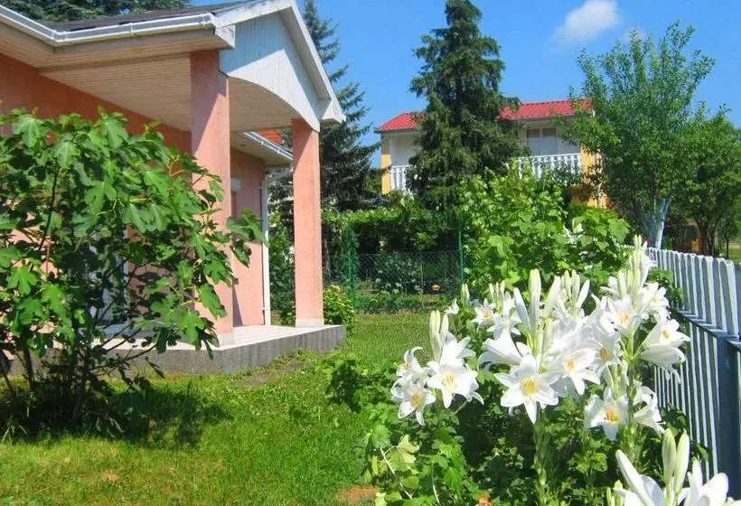 Hotel Fészek
