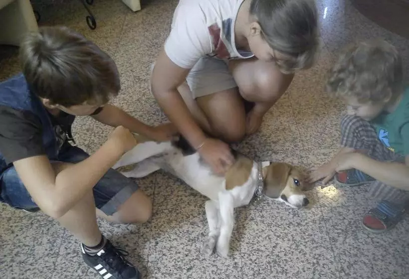 Grante Motel