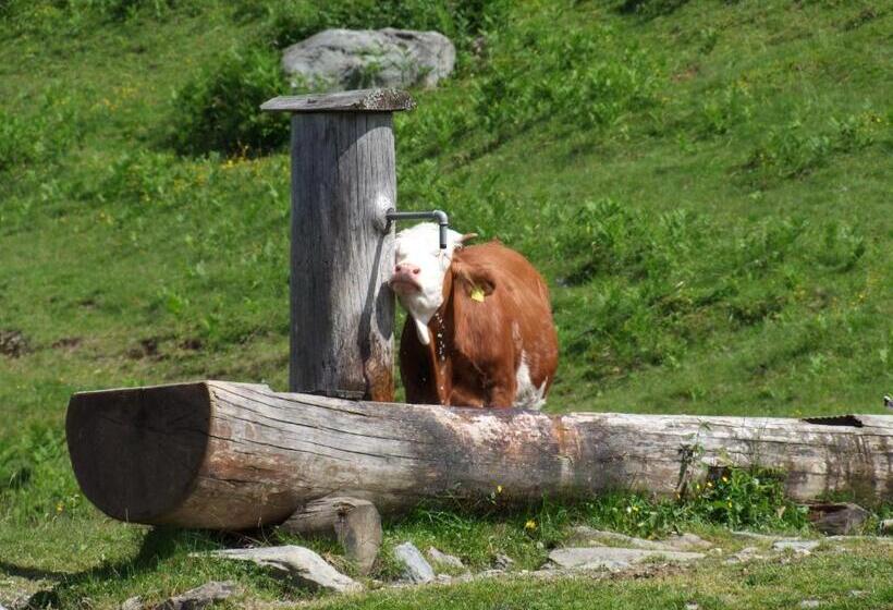 בית מלון כפרי Guggenbergerhof