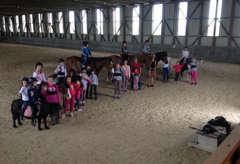 호텔 Hédervári Lovas Vendégház