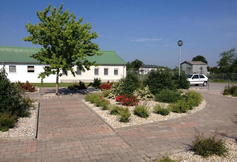 호텔 Hédervári Lovas Vendégház