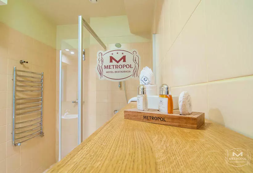 ホテル Metropol