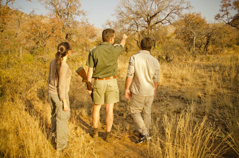 호텔 Morokolo Game Lodge