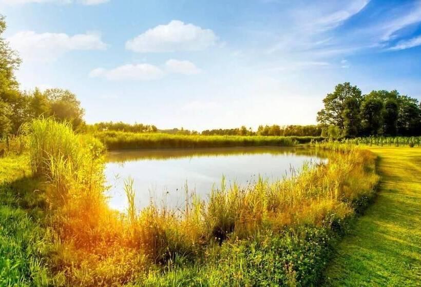 Pałac Wiechlice Hotel, Restaurant, Spa