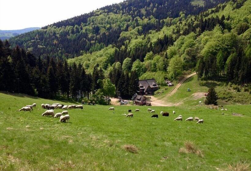 בית מלון כפרי Sowia Dolina   Góry Sowie