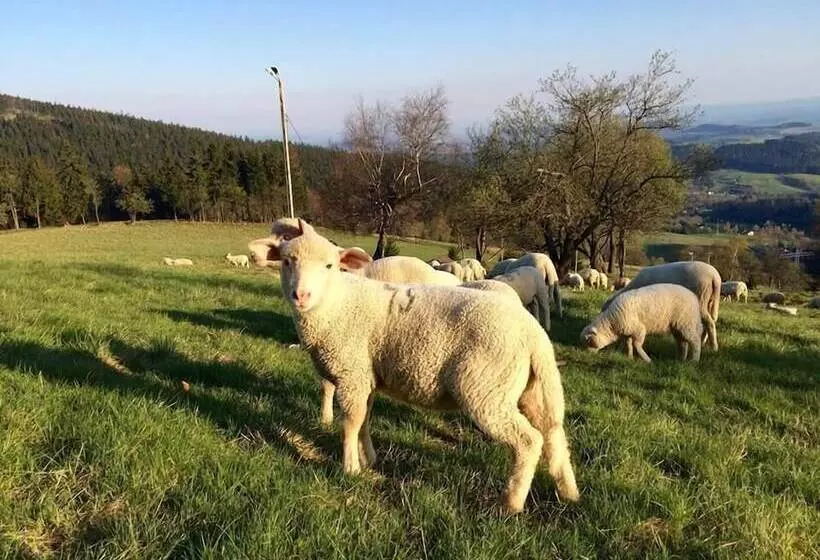 Hotelli Sowia Dolina Góry Sowie