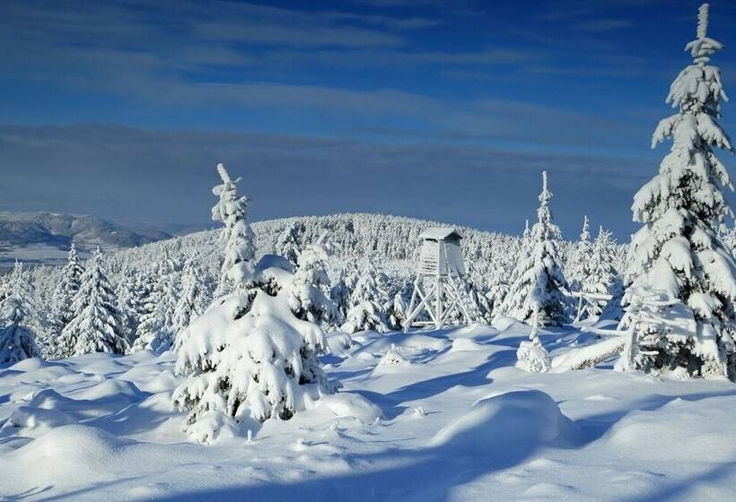 בית מלון כפרי Sowia Dolina   Góry Sowie