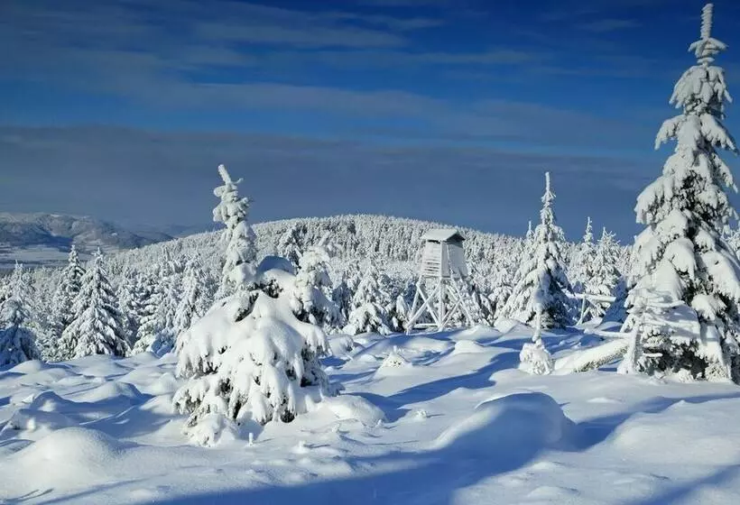 Hotelli Sowia Dolina Góry Sowie
