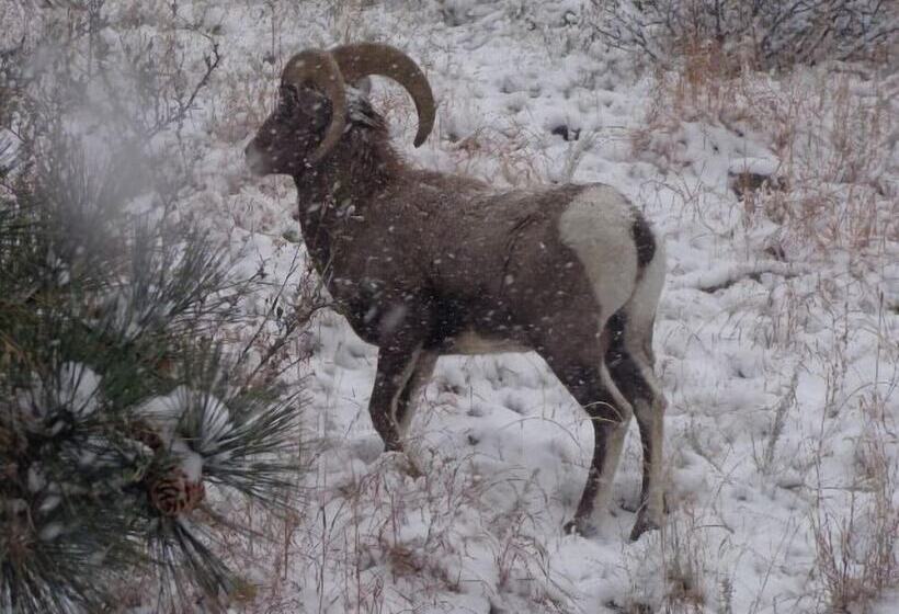 فندق Stoney River Lodge