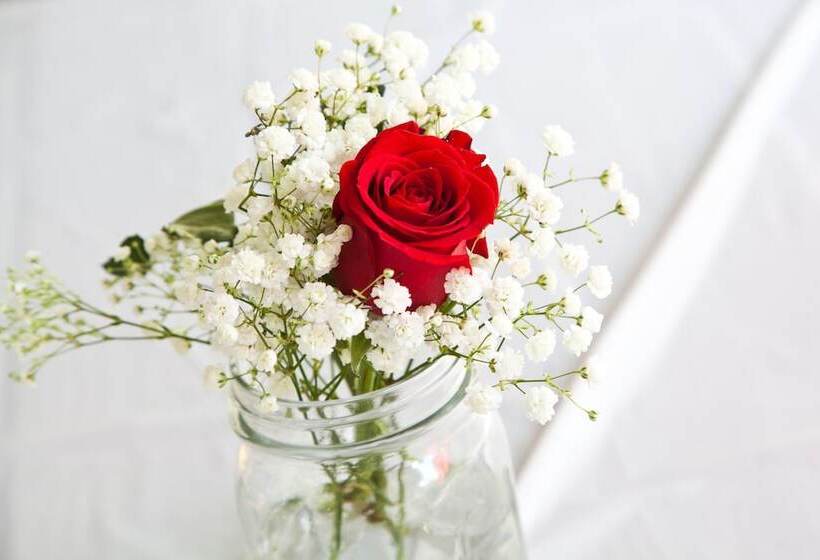 فندق Valle Crucis Farm