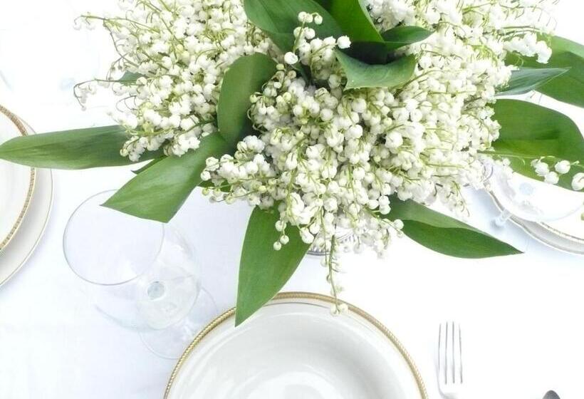 فندق Willa Viktoria