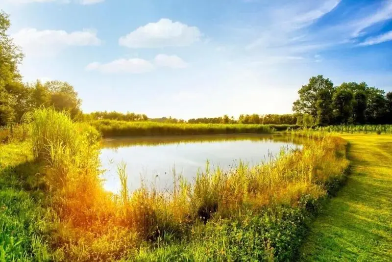 Pałac Wiechlice   Hotel, Restaurant, Spa