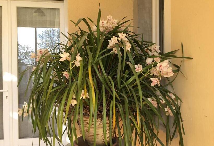 Bed and Breakfast Le Clos Des Gazanias