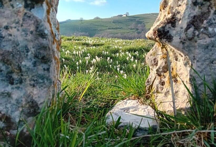 酒店 Rifugio Cuneck