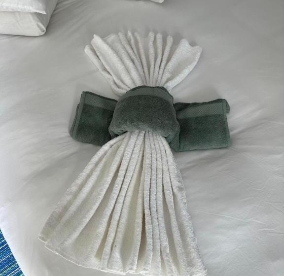 Pension 39 Hoog Street