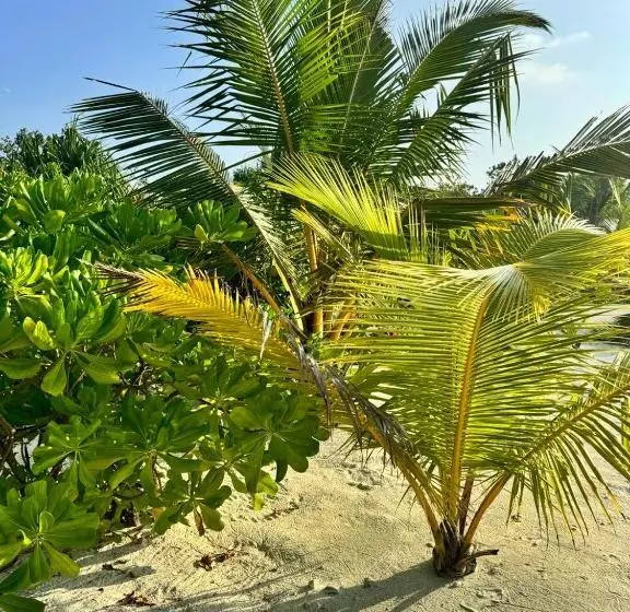 پانسیون Oi Beach