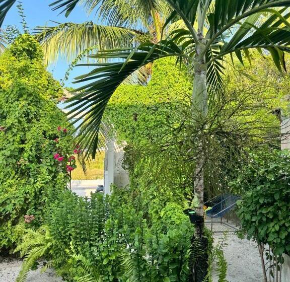 پانسیون Oi Beach