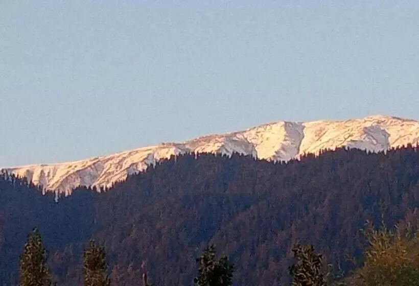 ユースホステル Gulmarg View Cottage