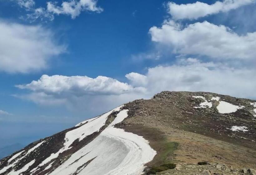 هاستل Gulmarg View Cottage