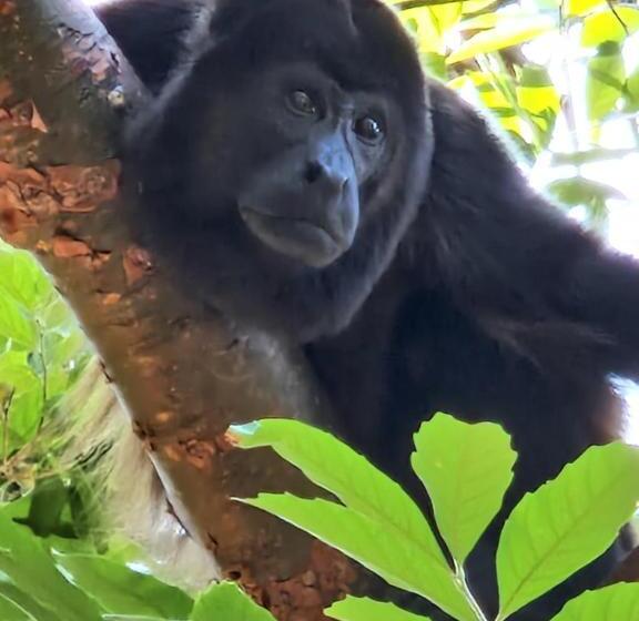 민박 Vista Mar Y Monos