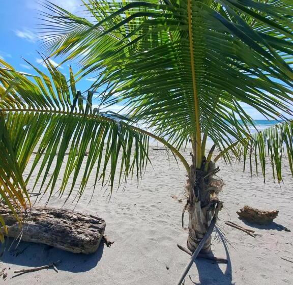 민박 Vista Mar Y Monos