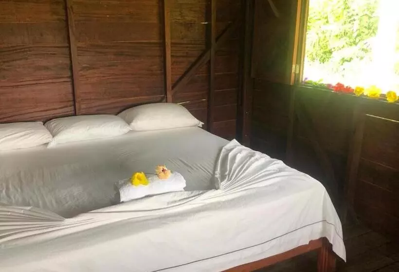 ホテル Cabañas Iracas Del Mar