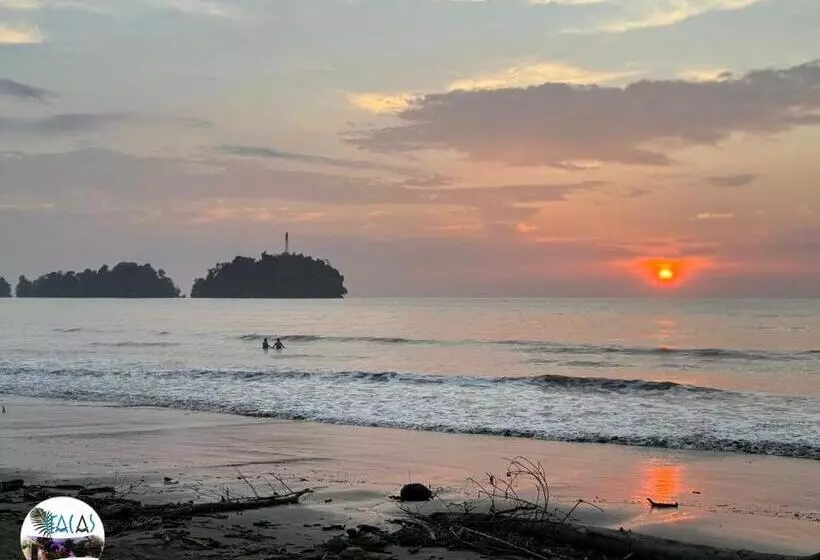 ホテル Cabañas Iracas Del Mar