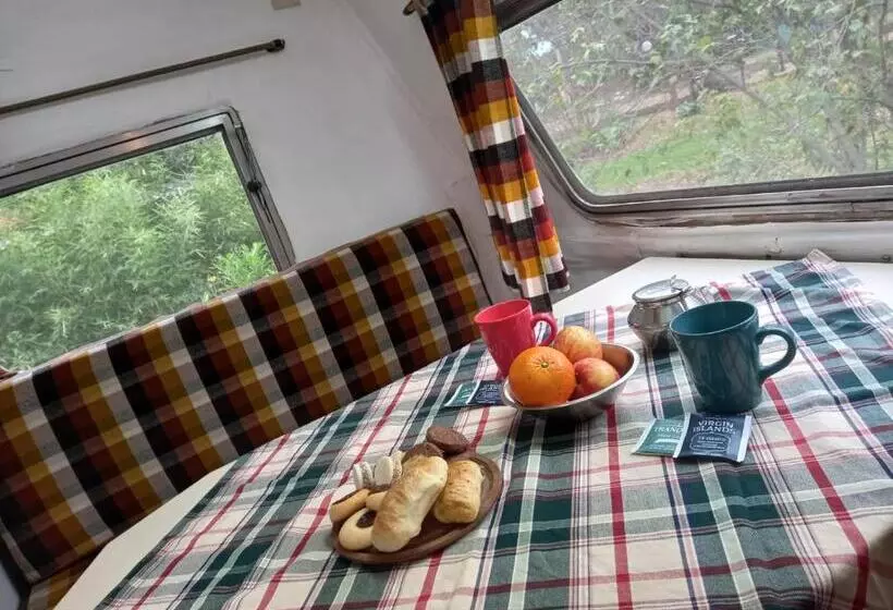 Kapselihotelli Tiny House Ventania