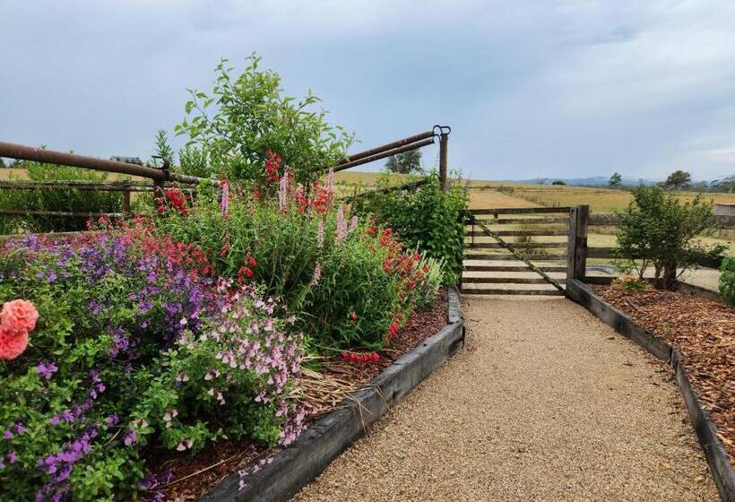 Отель The Old Dairy On Winkleigh