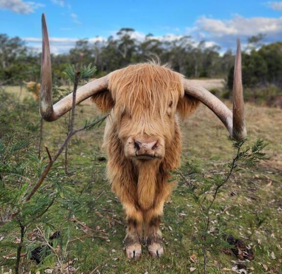 Отель The Old Dairy On Winkleigh