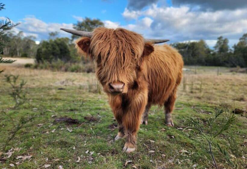 Отель The Old Dairy On Winkleigh