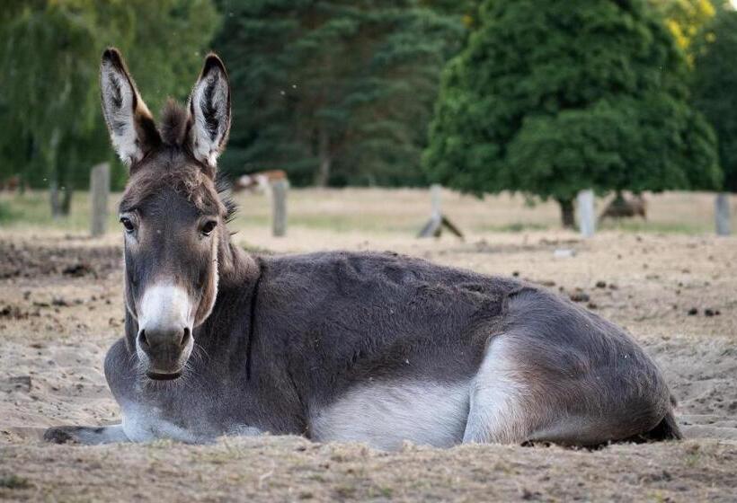 Landhotel Rosenhof Am Plauer See Garni Mit E Säule