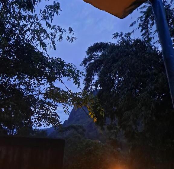 بنسيون New White Rose