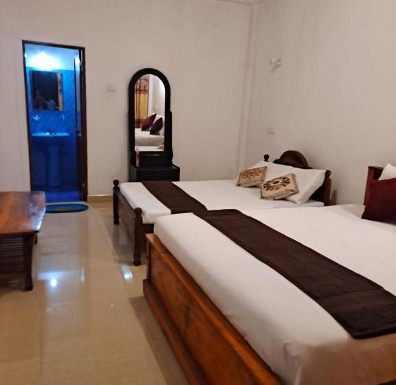 بنسيون New White Rose