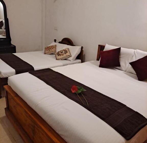 بنسيون New White Rose