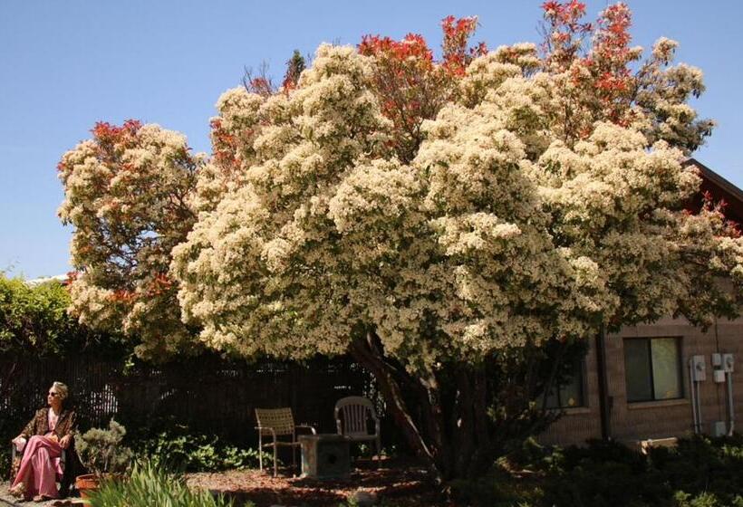 Ashland Commons Hostel