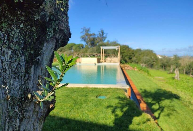 هتل Quinta De Matrena