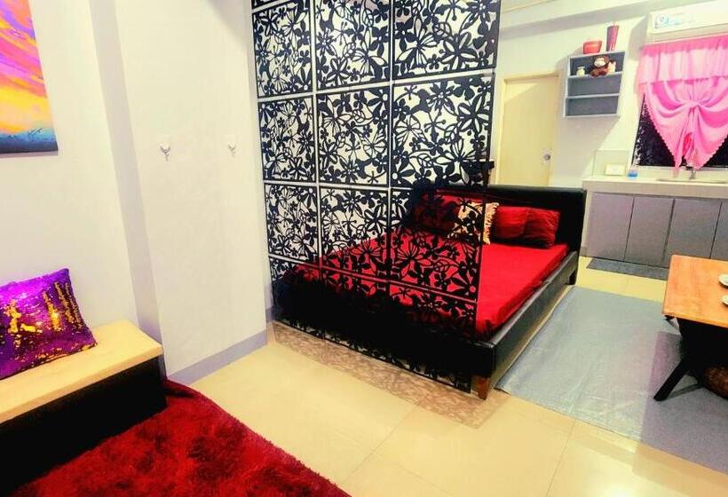 Pension B Backpackers Transient